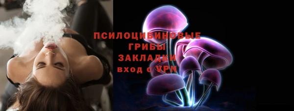 гидра Алзамай